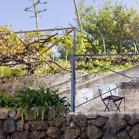 Ek Las Vistas Finca El Milagro Ла Оротава Екстериор снимка