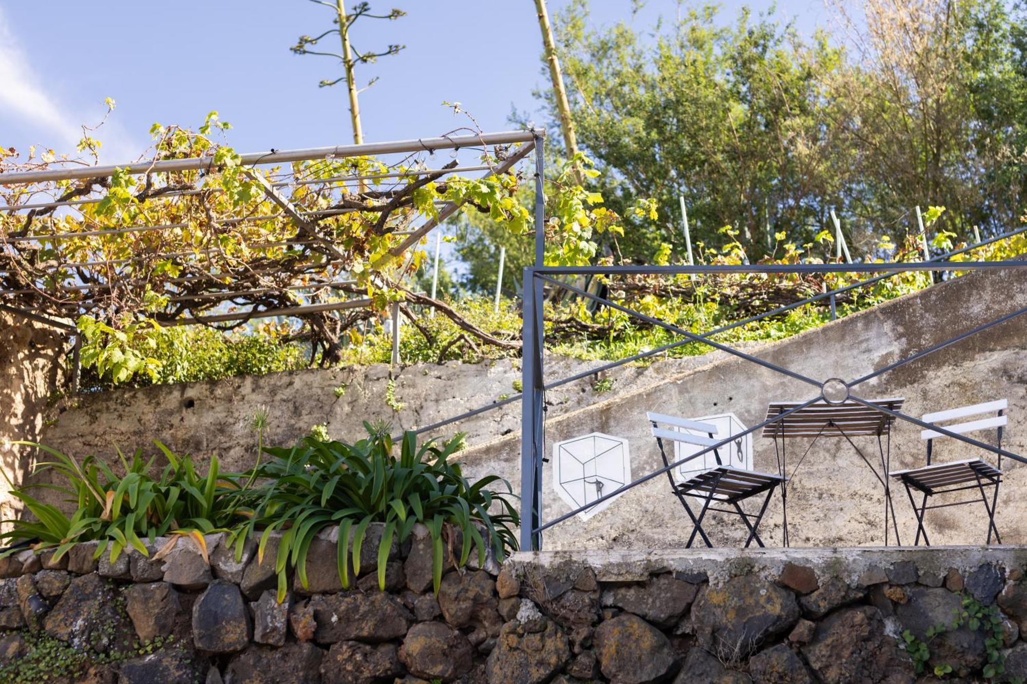 Ek Las Vistas Finca El Milagro Ла Оротава Екстериор снимка