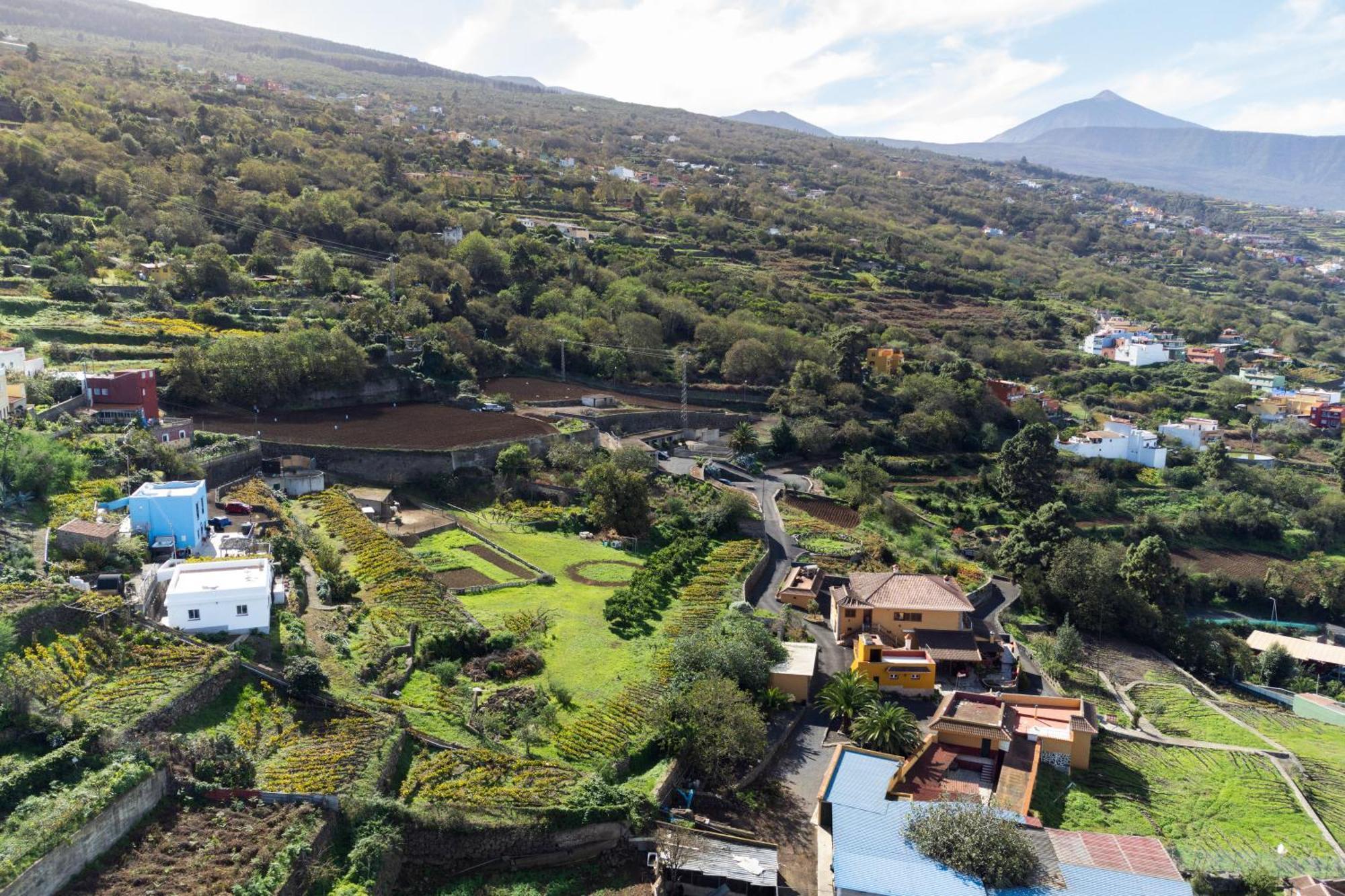 Ek Las Vistas Finca El Milagro Ла Оротава Екстериор снимка
