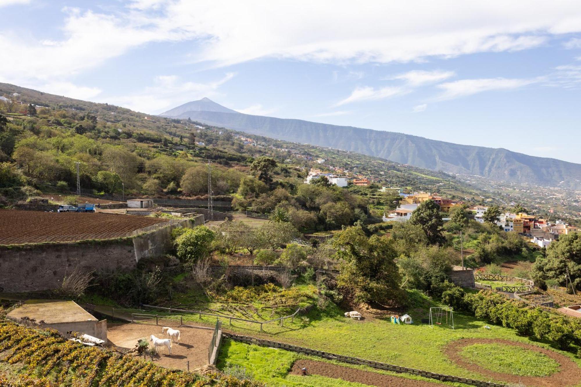 Ek Las Vistas Finca El Milagro Ла Оротава Екстериор снимка