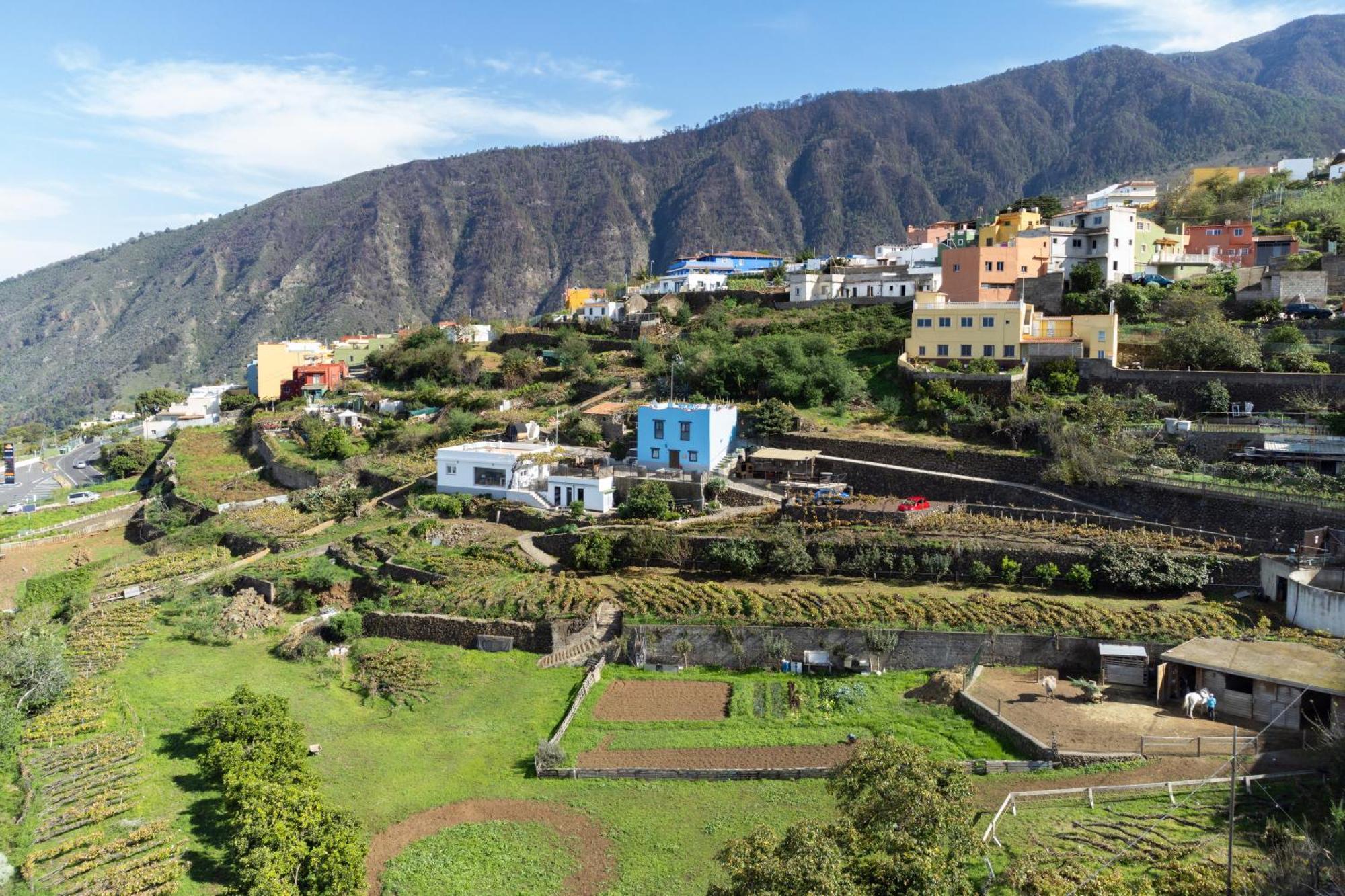 Ek Las Vistas Finca El Milagro Ла Оротава Екстериор снимка