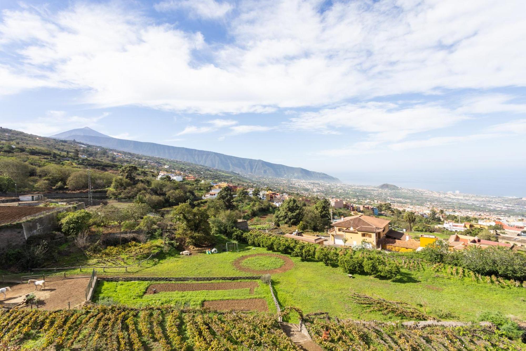 Ek Las Vistas Finca El Milagro Ла Оротава Екстериор снимка